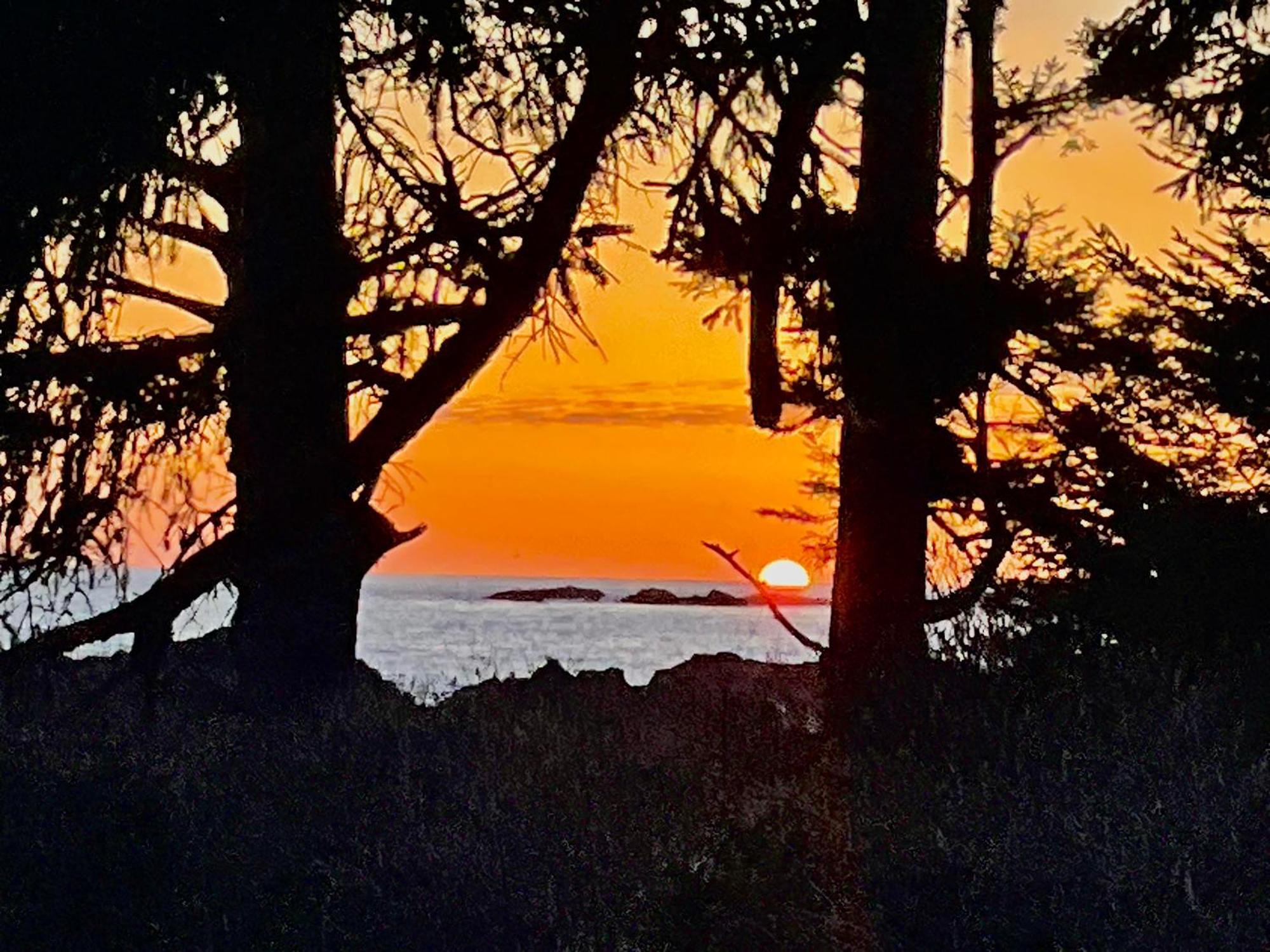 Black Rock Landing Ucluelet Extérieur photo