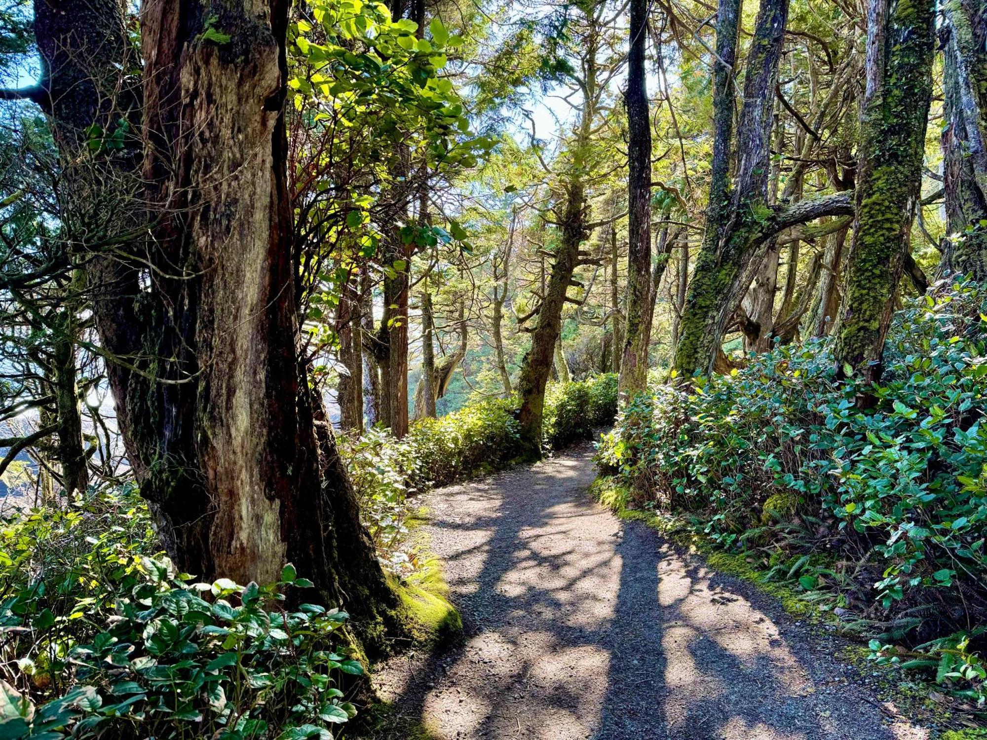 Black Rock Landing Ucluelet Extérieur photo